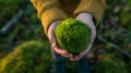 Hands Holding a Moss Sphere. AI generated Royalty Free Stock Photo
