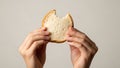 Hands Holding a Slice of White Bread Against a Light Background Royalty Free Stock Photo