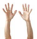 Pair of Hands Reaching Up Royalty Free Stock Photo