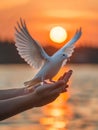 A pair of hands releases a white dove into the air against a stunning sunset backdrop, capturing the essence of peace