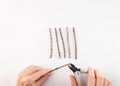 a pair of hands using pruning shears to cut a twig. several sticks arranged above the shears, process of creating a do