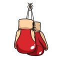 Pair of hanging boxing gloves