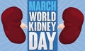 Pair of Healthy Kidneys Promoting World Kidney Day in March, Vector Illustration