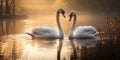 A pair of heart-shaped white swans swimming in the lake, photo for Valentine's Day. Generative AI Royalty Free Stock Photo