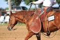 Leather Batwing Chaps Worn By Working Cowboy, Horse, Saddle, Rope, Lariat, Stock Photo Image