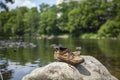 Pair of Hiking Shoes Boots on a Rock by the River Hiking Bare Feet on a sunny Summer Day resting feet in the Water