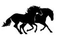 Pair of horses black vector silhouette