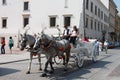 Pair of horses pulling carriages near historical buildings in Poland, Krakow