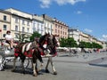 A pair of horses pulling a tourist carriage in the market square in Krakow. Royalty Free Stock Photo