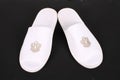 Pair of hotel slippers Royalty Free Stock Photo