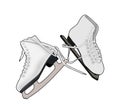 A Pair of Ice Skates