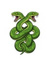 A pair of identical green snakes serpents curling around each other isolated white backdrop Royalty Free Stock Photo