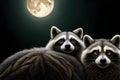 A pair of inquisitive raccoons exploring a moonlit forest, their eyes gleaming in the darkness Royalty Free Stock Photo