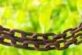 Pair of iron chain rusty old big rings on blurred green background, grunge design Royalty Free Stock Photo