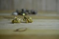 Pair of jewelry earing on wooden table background