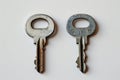 Pair of keys on a white surface, concept of unlocking the truth about plagiarism