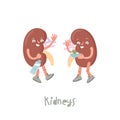 A pair of kidneys. Cartoon characters in a trendy style.
