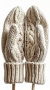Pair of Knitted Cream Colored Mittens on Sticks Against White Backdrop Royalty Free Stock Photo