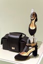 Pair of ladies suede shoes and handbag