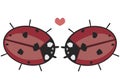 A pair of ladybird in love, romance and heart, cartoon flat vector stock illustration isolated on white background for valentines Royalty Free Stock Photo