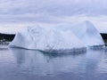 Pair of large icebergs casting reflections on water surface in Twillingate Harbour