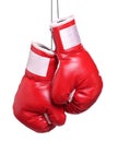 Pair of leather boxing gloves isolated