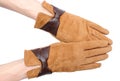 Pair of leather suede gloves for woman. White background