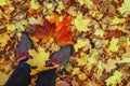 Pair of legs in in sport sneakers on bright fallen autumn leaves background, leaf fall. Seasons, autumn walk, nostalgic Royalty Free Stock Photo