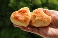 Pair of Lovely Heart Shaped Pao de Queijo or Brazilian Cheese Breads in Hand against Blurry Sunlight Garden Royalty Free Stock Photo
