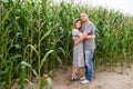 Pair of lovers canoodle in the corn field Royalty Free Stock Photo