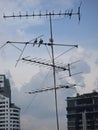 Love doves perched on a TV antenna