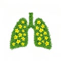 A pair of lungs made out of grass and flowers, concept illustration of healthy lungs.