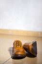 Pair of Luxury Male Full Brogued Tan Oxford Shoes. Placed Together on Tiles Floor Royalty Free Stock Photo