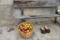 A pair of madrenas, typical clogs in Asturias, next to a basket full of apples, Gratila village, Nava municipality, Asturias, Royalty Free Stock Photo