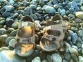 A pair of male leather sandals on the stone beach under sunlight