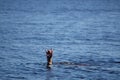 Pair of masculine hands sticks out of the sea water on a summer day, a gesture of a man who sinks, copy space