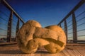 Pair of mature potatoes embracing each other at sunset