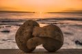 Pair of mature potatoes embracing each other at sunset