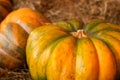 Pair of mature pumpkins orange and ribbed on ahay farm background