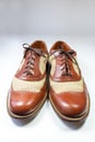 Pair of men`s vintage leather and net wing tip shoes, on white, Royalty Free Stock Photo