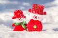 A pair of merry snowmen in the snow.