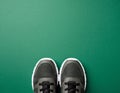 Pair of Modern Sneakers Placed Together on Flat Green Background, No Shadows UHD Royalty Free Stock Photo