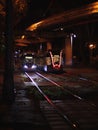 a pair of modern trams in the city center . night photo with neon light. city transport at night