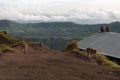 A pair of monkeys in the open nature On Vulcan Batur