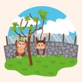 Pair of monkeys on a tree Zoo Vector