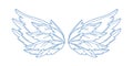 Pair of monochrome wide open holy wings vector illustration. Gorgeous feather wing of bird, cupid or angel isolated on