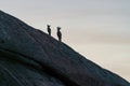 Pair of mountain goats on rock Royalty Free Stock Photo