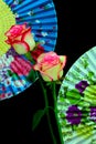 Pair of multi color roses with oriental folding fans background p