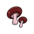 Pair mushrooms clipart Royalty Free Stock Photo