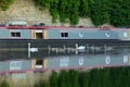 Pair of mute swans & 7 Cygnet`s cruise a canal